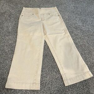 JAG Classic Beige Wide-Leg Pants size 12